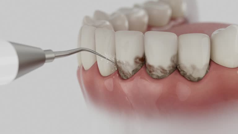 Reliable Dental contractor in Hollywood, SC by Dentist Open Now